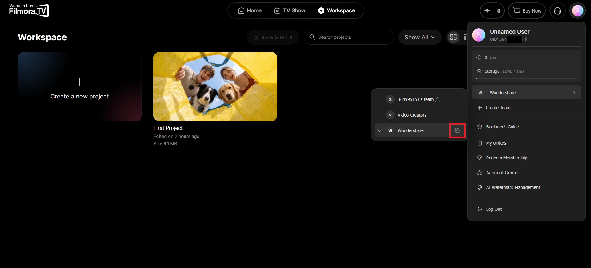 open the team workspace settings